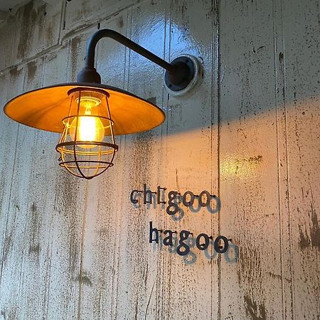 島ぐらしカフェchigoohagoo 男性のみ宿泊不可 Couples & Single Females Only 大島 エクステリア 写真