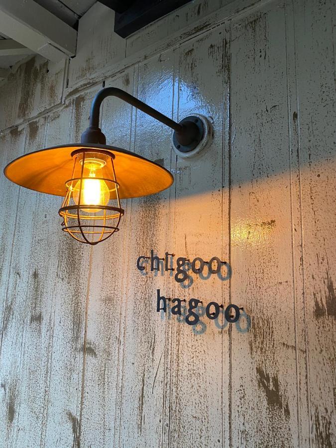 島ぐらしカフェchigoohagoo 男性のみ宿泊不可 Couples & Single Females Only 大島 エクステリア 写真